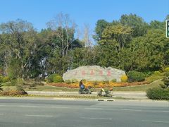 -上海长兴岛郊野公园