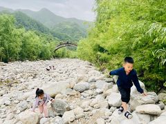 -牛背梁国家森林公园