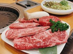 -黄金牧场(明洞总店)