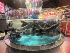 -魏铭鱼头捞饭(晋阳路店)