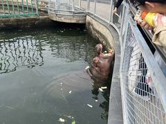 -无锡动物园·太湖欢乐园