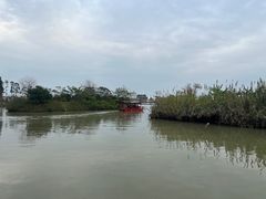-江门古劳水乡旅游区