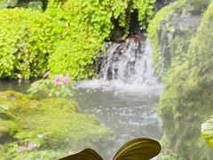 -Chom Cafe and Restaurant