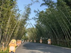 -婺源月亮湾
