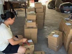 -马陆小张葡萄园农家乐