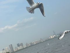 -深圳湾公园(南山区)