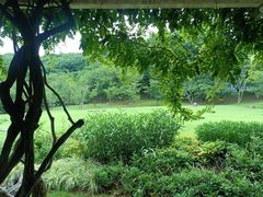 -苏州上方山国家森林公园