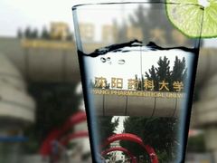 -沈阳药科大学