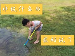 -大屏嶂森林公园