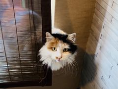 -西安华清御汤酒店