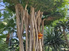 -祥源·阜阳生态乐园