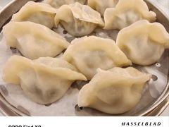 -王厚元饺子·辽菜·烤鸭(工会大厦店)