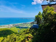 -三亚亚龙湾人间天堂鸟巢度假村
