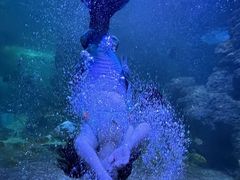 -左海海底世界