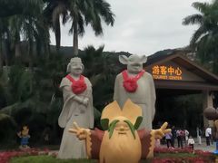 -呀诺达热带雨林