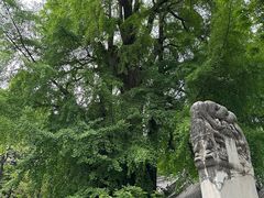 -潭柘寺景区