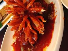 -楚灶王(徐东店)