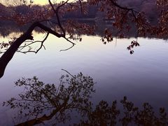 -紫霞湖公园