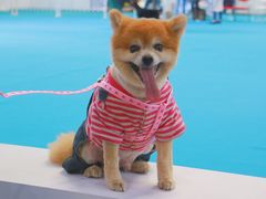 -东浩兰生上海世博展览馆