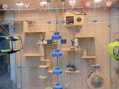 -米卢宠物公园(广华居店)