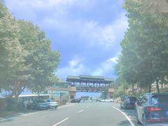 -江南天池