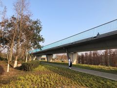 -白鹭湾湿地公园