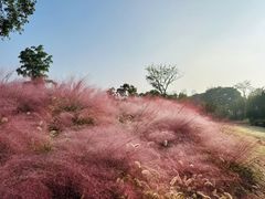 -钟山体育运动公园