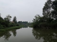 -桤木河湿地公园