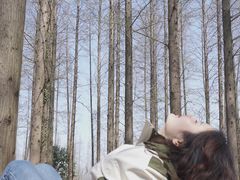 -黄海国家森林公园