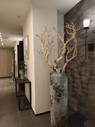 -盘子女人坊古装写真摄影(天津总店)