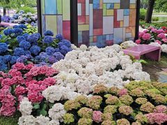 -上海鲜花港
