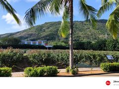 -亚龙湾国际玫瑰谷