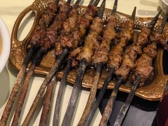 红柳烤肉-新疆伏拉沃餐厅(白龙南路店)