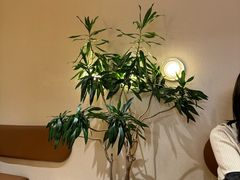 -沙丘咖啡DUNE COFFEE(深业水松大厦店)