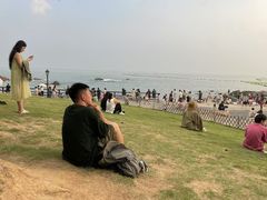 -小麦岛公园