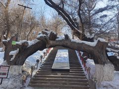-水磨沟公园