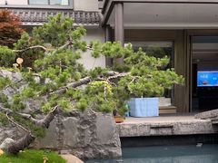 -外滩·云南人家(昆明旗舰店)