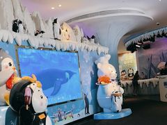 -帝企鹅自助餐厅•儿童岛•真企鹅(长隆企鹅酒店)