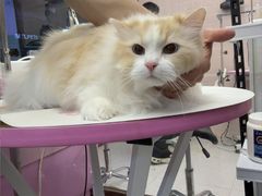 -FAELING PETS美天灵宠物(富力广场店)
