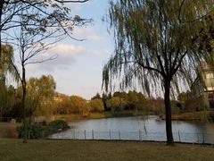 -中国浦东干部学院