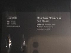 -深圳珠宝博物馆