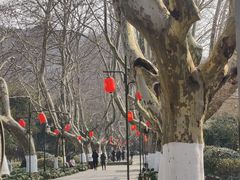 -杭州黄龙洞