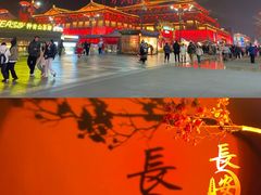 -维也纳国际酒店·西安大雁塔大唐不夜城店