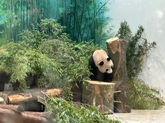 -杭州动物园