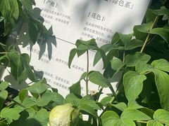 -太阳宫公园