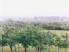 -汉长安城未央宫国家考古遗址公园