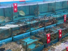 -红月湾海鲜饭店•沙滩海景(双月湾店)