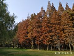-同里国家湿地公园