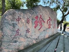 -珍宝岛
