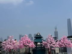 -武汉知音号